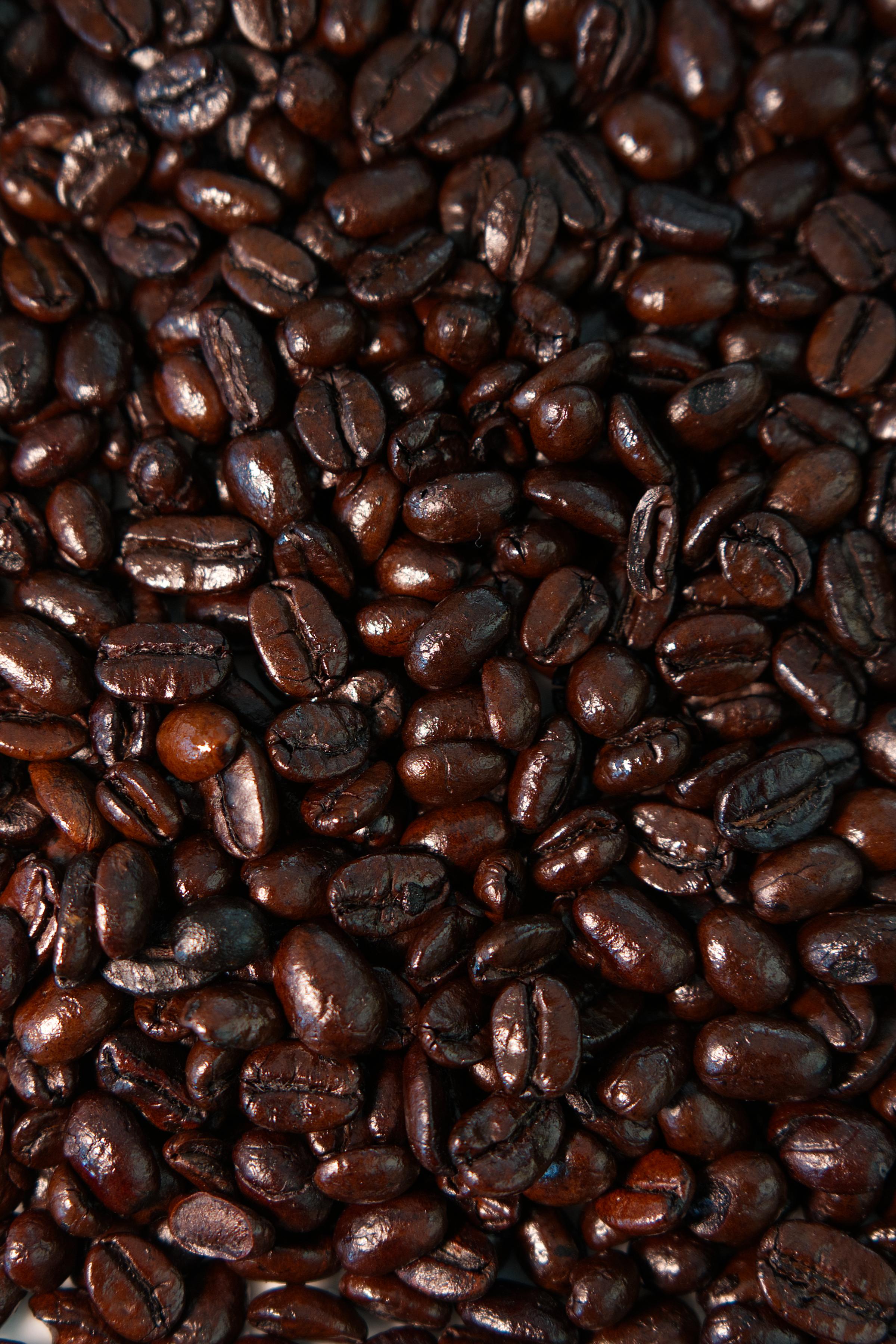 Dark Roast